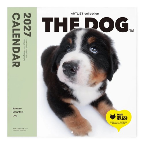 Calendario 2027 cane - 2027, il