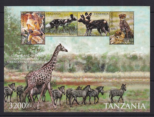 2011 tanzania fauna lions - tanzania,