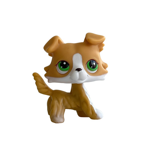 1pcs littlest pet shop - 1pcs,