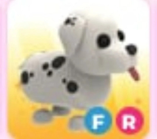Dalmata adotta ora - adotta,