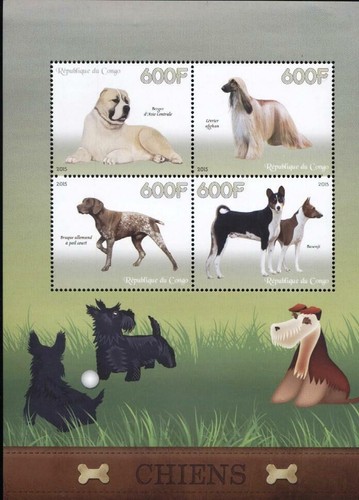 Cani mondo - (946027),