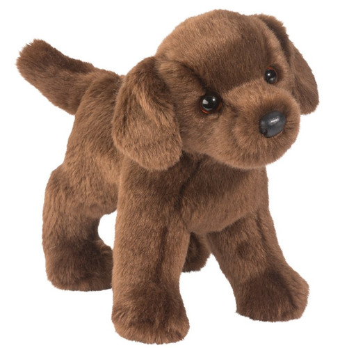 Douglas tucker chocolate lab - tucker,