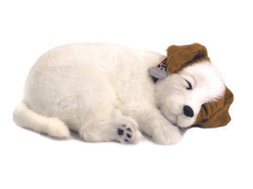 Precious petzzz jack - petzzz,