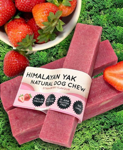 Masticazione cane yak fragola