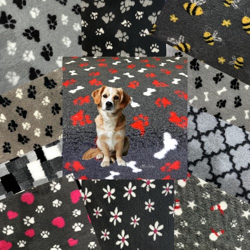 Cuccia veterinaria cuccia
