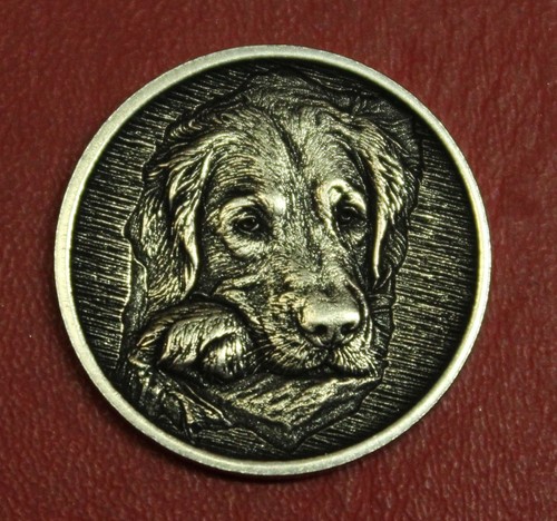 Hobo nickel golden retriever - golden,