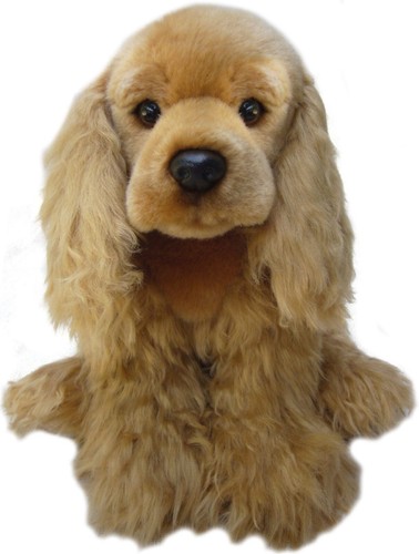 Peluche cane - , gold