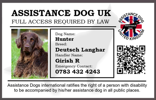 Assistance dog distintivo - assistance, uk