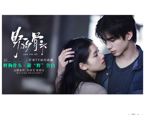 Canzone weilong for - for, love