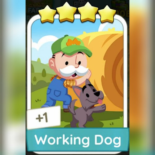 Cane lavoro - lavoro, ⭐⭐⭐⭐