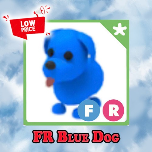 Cane blu adotta subito - fr,