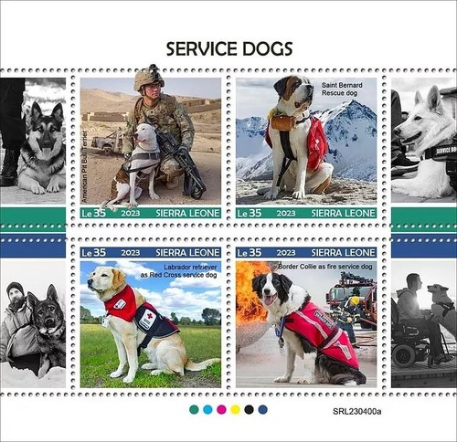 Service dogs croce - service,