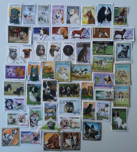 Collezione francobolli cane - ,