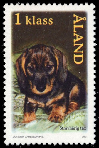Aland island 192 cuccioli - island,