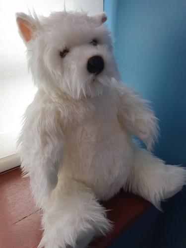 West highland terrier - highland,