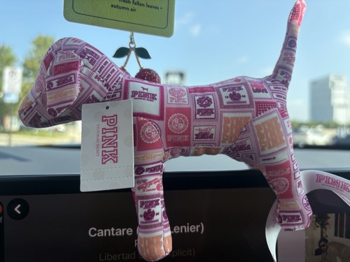 Victoria secret rosa - secret, cane