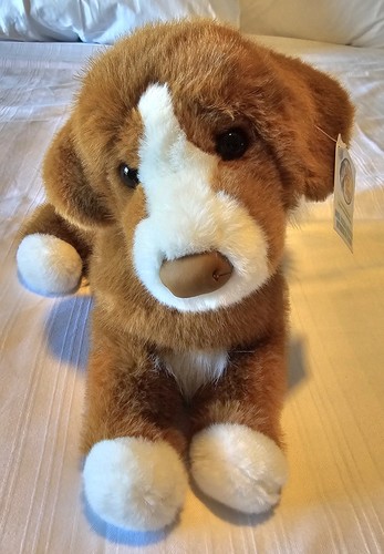 Peluche cane piedi - peluche, douglas