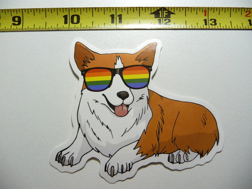 Occhiali sole corgi - da, strisce