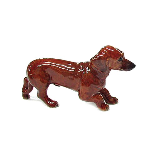 Cucciolo bassotto cane - , rosa