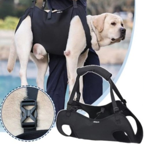 Imbracatura sollevamento cani - sollevamento,